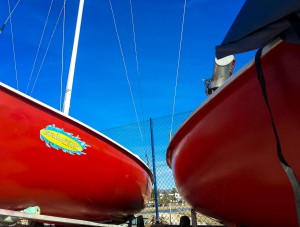 Grimpola escuela de vela, pastinacas en Grimpola, escuela de vela mazarron