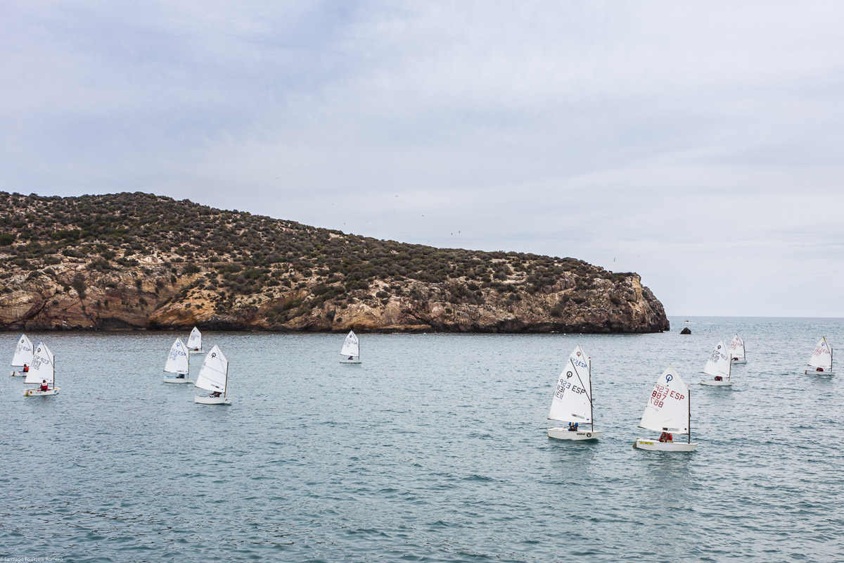 vela ligera clase optimist